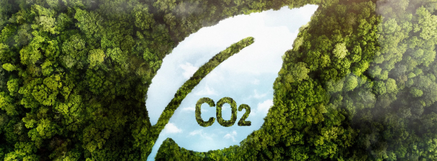 Aerial view of a green forest with a leaf-shaped clearing spelling CO2